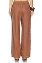 view 4 of 6 Capriolla Pant in Cacao