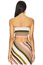 view 3 of 4 BUSTIER ANTIBES in Meleu Stripe Multi