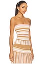 view 2 of 5 BUSTIER CITARA in Puce Sepia Stripe