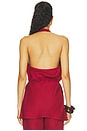 view 4 of 4 Izaro Top in Porto Red