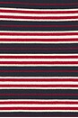 view 6 of 5 Doris Top in Cila Stripe Navy