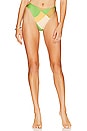 view 1 of 4 Dylla Bikini Bottoms in Costa Smeralda Print