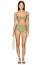 view 4 of 4 Stefania Bikini Top in Khaki