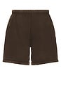 view 2 of 5 HEAVY 쇼츠 in Brown