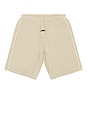 view 1 of 5 Basketball Jersey Shorts in Timber & Cloud White