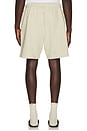 view 3 of 5 Classic Short in Washed Vanilla Heather