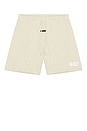 view 5 of 5 Classic Short in Washed Vanilla Heather