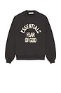 view 4 of 4 Campus 90's Crewneck Sweatshirt in Faded Black