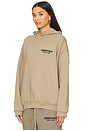 view 3 of 5 Fleece Hoodie in Desert Sand