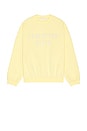 view 1 of 5 90's Fit Fleece Crew Neck Sweatshirt in Garden Yellow