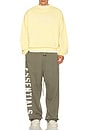 view 5 of 5 90's Fit Fleece Crew Neck Sweatshirt in Garden Yellow