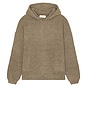 view 4 of 5 SWEAT À CAPUCHE HEAVY in Homestead Heather