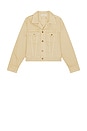 view 4 of 4 Classic Denim Jacket in Overdyed Dune