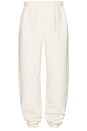 view 2 of 6 Fleece Essential Sweatpant in Shell