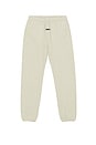 view 1 of 6 Vintage Fleece Sweatpant in Heather Stone