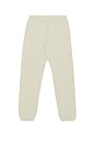 view 2 of 6 Vintage Fleece Sweatpant in Heather Stone