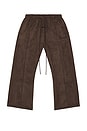 view 5 of 6 Flare Pant in Brown
