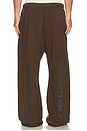 view 4 of 7 Flare Sweatpant in Brown