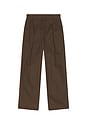 view 5 of 5 БРЮКИ PLEAT in Brown