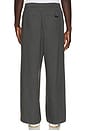 view 3 of 5 Pleat Front Drawstring Pant in Iron Grey