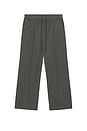 view 5 of 5 Pleat Front Drawstring Pant in Iron Grey