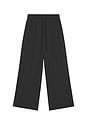 view 5 of 5 Pleat Front Drawstring Pant in Vintage Black