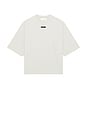 view 4 of 4 Merch Tee in Overcast