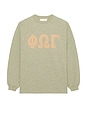view 4 of 4 MANGA LARGA MERCH in Washed Seal Heather