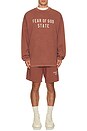 view 5 of 5 Heavy Longsleeve Tee in Crimson