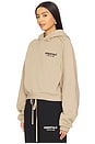 view 3 of 6 Cropped Hoodie in Desert Sand