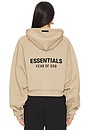 view 4 of 6 Cropped Hoodie in Desert Sand