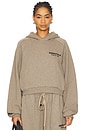 view 1 of 5 Cropped Hoodie in Heather Gray