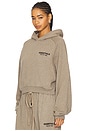 view 2 of 5 Cropped Hoodie in Heather Gray