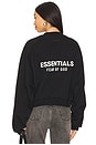 view 1 of 6 Cropped Crewneck Sweatshirt in Black