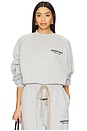 view 2 of 6 Cropped Crewneck Sweatshirt in Light Heather Gray