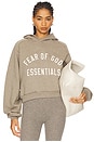 view 1 of 5 Cropped Hoodie in Heather Gray