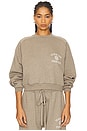 view 1 of 5 Cropped Crewneck Sweatshirt in Heather Gray