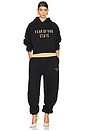 view 5 of 5 Cropped Hoodie in Black