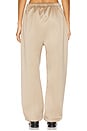 view 4 of 6 Satin Jogger in Desert Sand