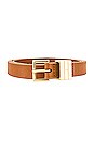 view 3 of 3 Petit Square Buckle Plaque Belt in Cuoio