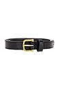 view 3 of 3 Jewelery Detail Belt in Black Croc