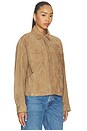 view 3 of 4 The Suede Utility Jacket in Chai