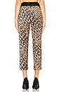 view 3 of 4 Cheetah Tux Pant in Camel Multi
