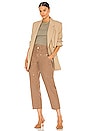 view 4 of 4 Twisted Utility Pant in Washed Desert