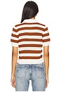 view 3 of 4 The Bold Stripe Polo in Chestnut Multi