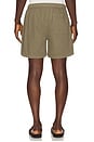view 2 of 4 Canvas Shorts in Military Khaki
