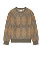 view 4 of 4 Argyle Sweater in Taupe Multi
