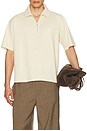 view 1 of 4 Zip Polo Shirt in Light Stone