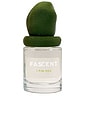 view 1 of 10 I Fig You Eau De Parfum Spray in 