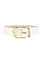 view 3 of 3 The Favorite Belt in Bone